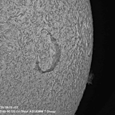 11月29日の太陽面