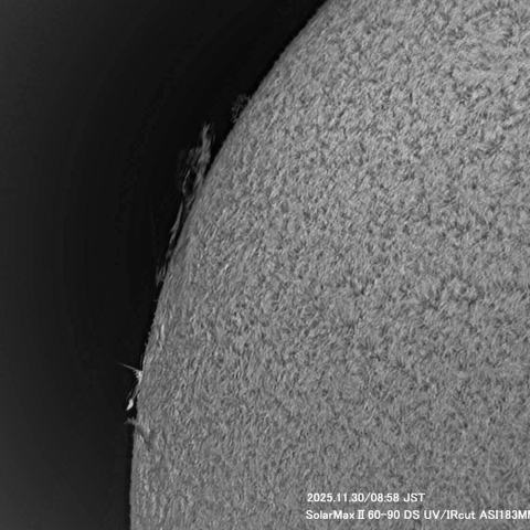11月30日の太陽面