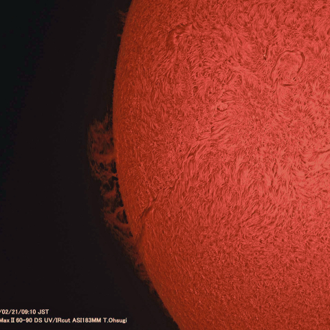 2月21日の太陽面