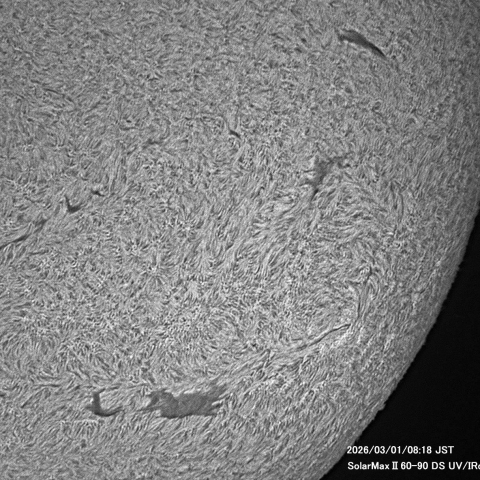 3月1日の太陽面