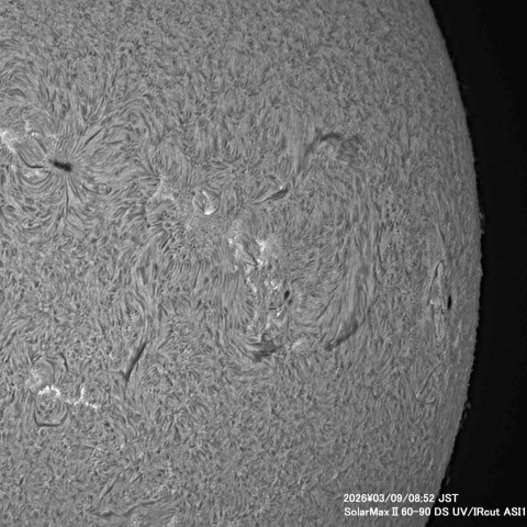 3月9日の太陽面