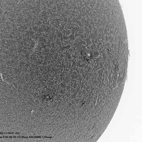 3月11日の太陽面