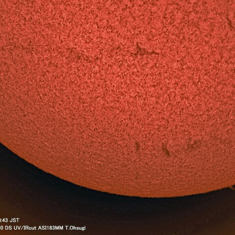 3月12日の太陽面