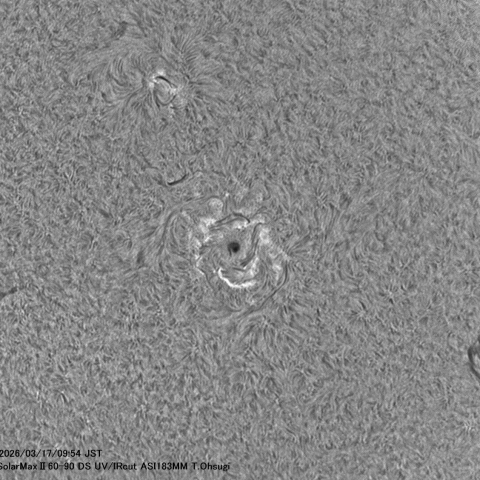 3月17日の太陽面