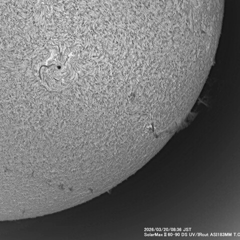 3月20日の太陽面
