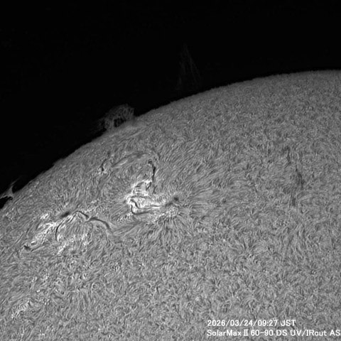3月24日の太陽面