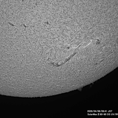 4月6日の太陽面