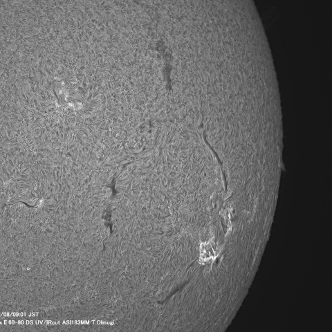 4月8日の太陽面