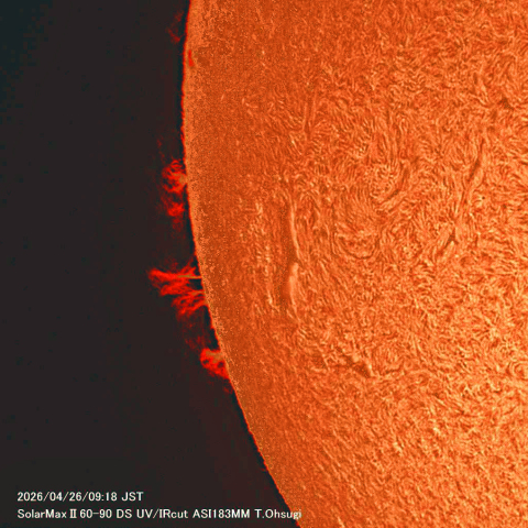 4月26日の太陽面