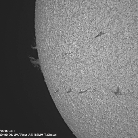 5月14日の太陽面