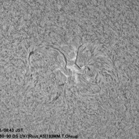 5月16日の太陽面