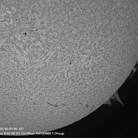 5月30日の太陽面