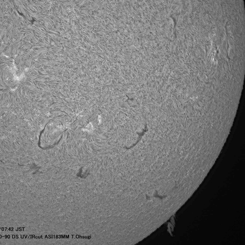 6月19日の太陽面