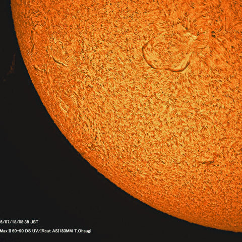 7月18日の太陽面