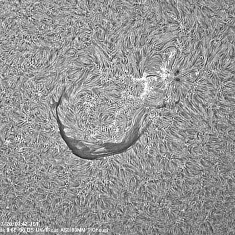 7月20日の太陽面