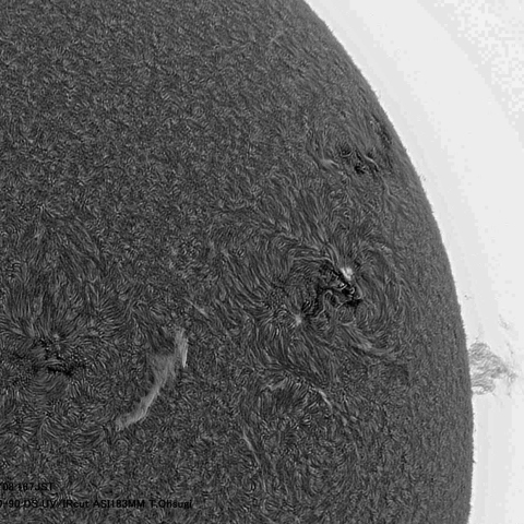 8月19日の太陽面