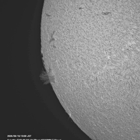 9月19日の太陽面