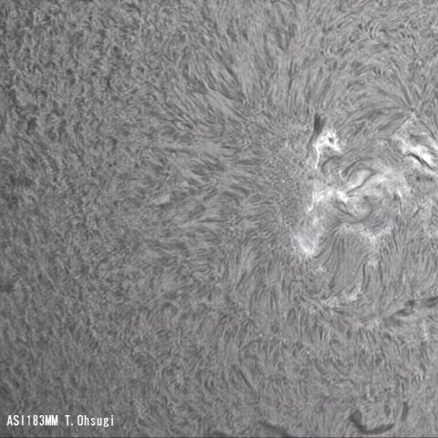 4月11日の太陽面