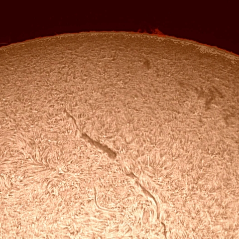 4月13日の太陽面