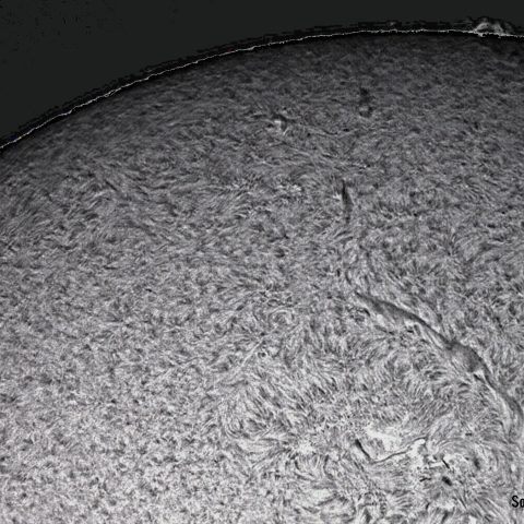 5月1日の太陽面