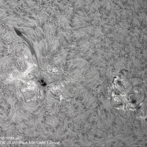 5月10日の太陽面