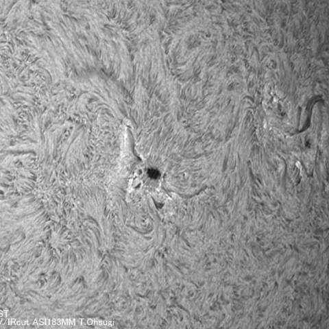 5月12日の太陽面