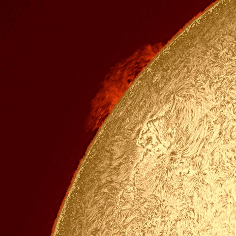 5月20日の太陽面