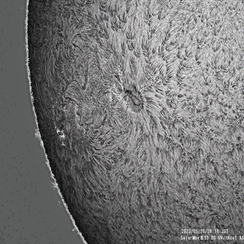 5月20日の太陽面