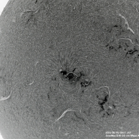 6月5日の太陽面
