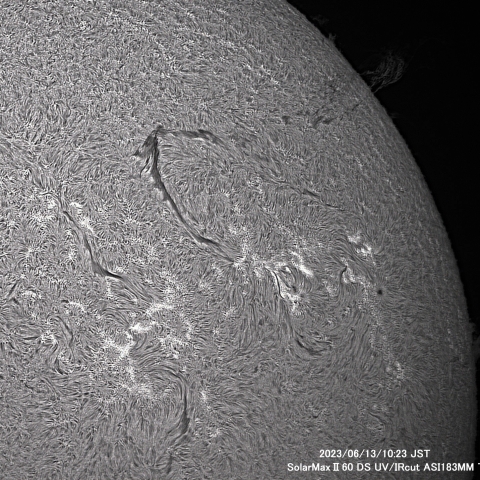 6月13日の太陽面