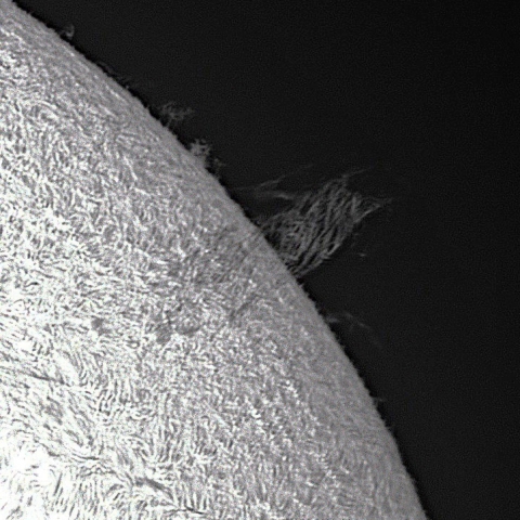 6月13日の太陽面