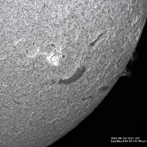 6月16日の太陽面