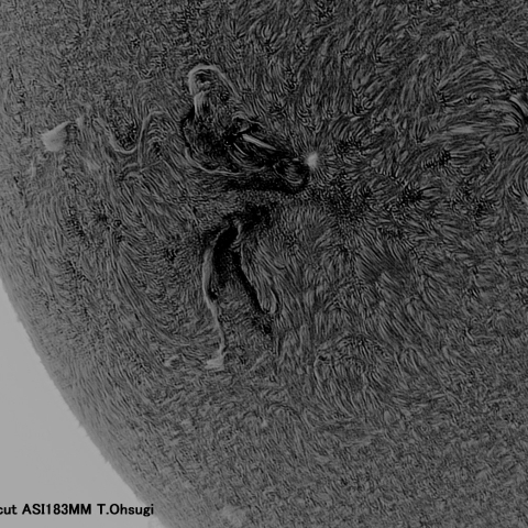 6月17日の太陽面