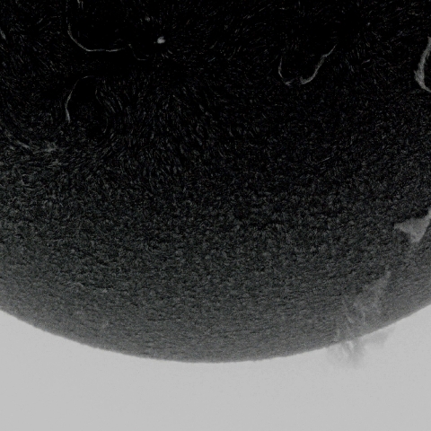 6月19日の太陽面