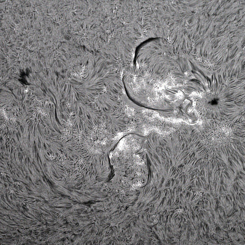6月20日の太陽面