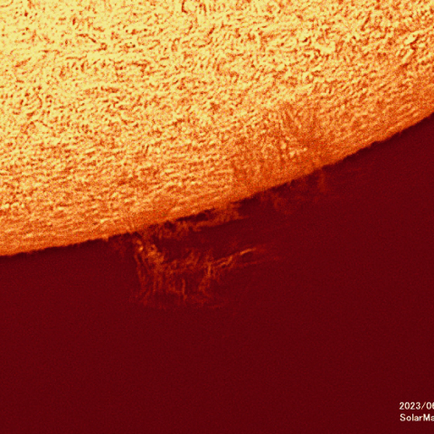 6月20日の太陽面