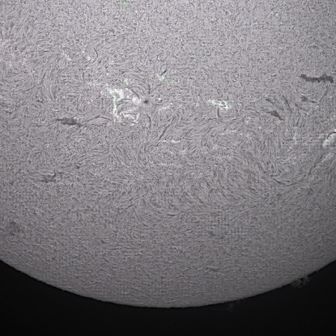 6月23日の太陽面