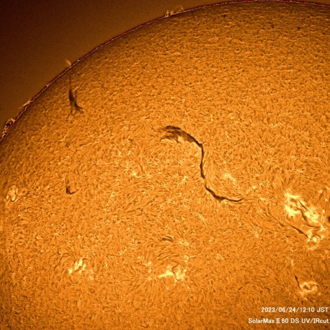 6月24日の太陽面