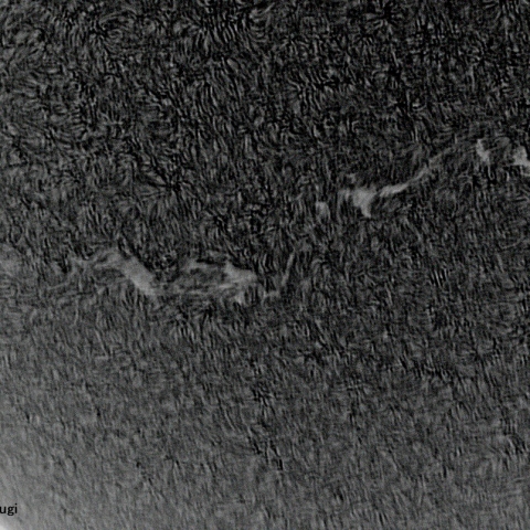 6月28日の太陽面