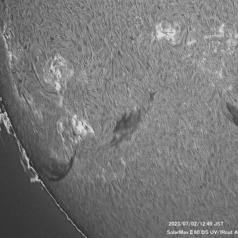 7月02日の太陽面
