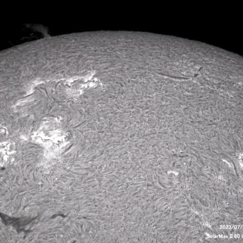 7月03日の太陽面