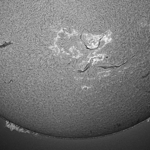 7月7日の太陽面