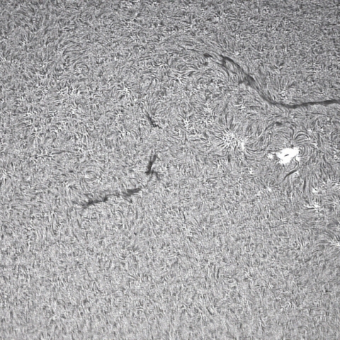 7月12日の太陽面