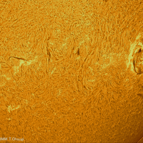 7月16日の太陽面