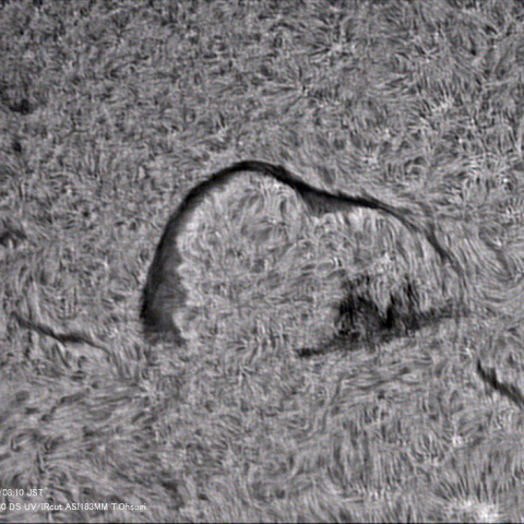 7月22日の太陽面