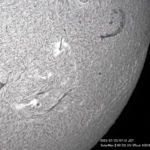 7月23日の太陽面