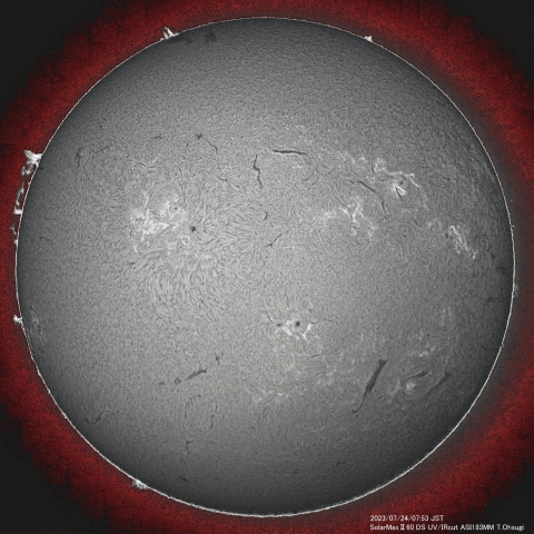 7月24日の太陽面