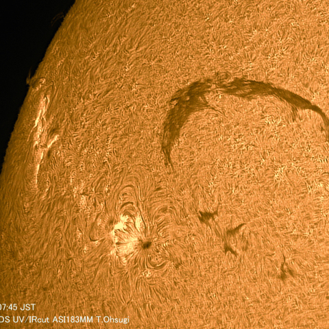 7月28日の太陽面