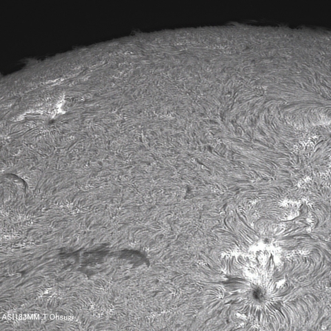 7月29日の太陽面