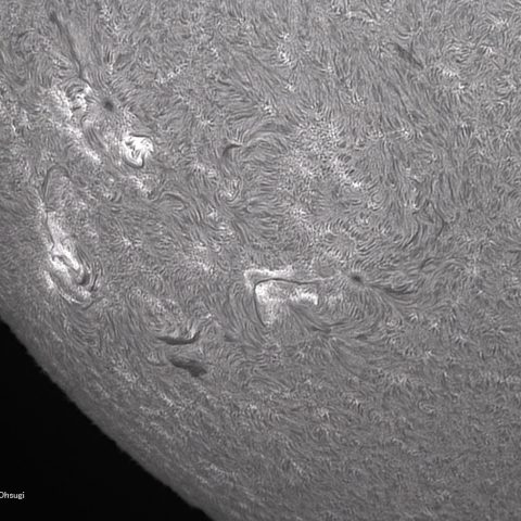 7月30日の太陽面